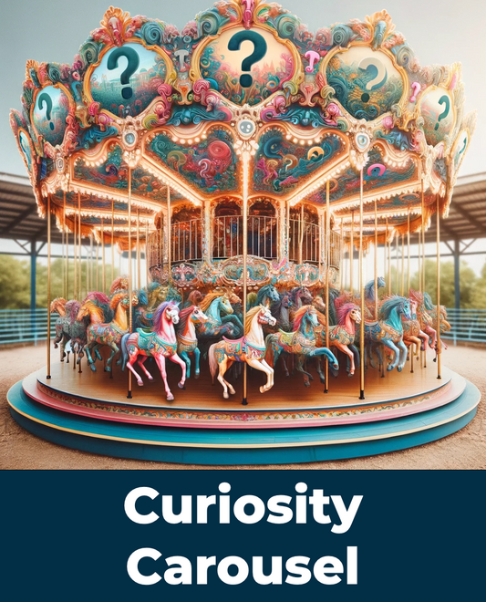 Curiosity Carousel - Navigating Camper Questions